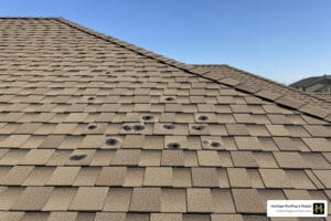 hail damage roof inspection