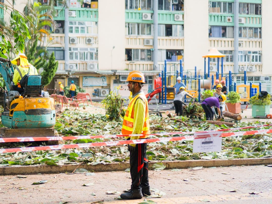 storm damage repair services