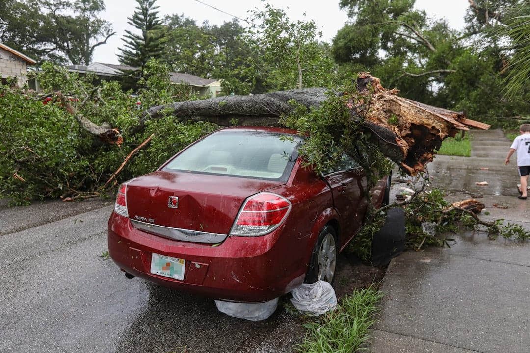 commercial storm damage
