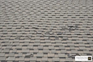 hail damaged roofs pictures