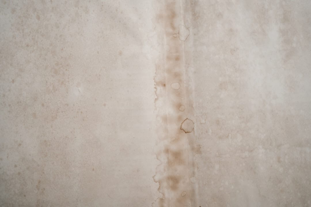 leaking roof ceiling water stain home insurance damage